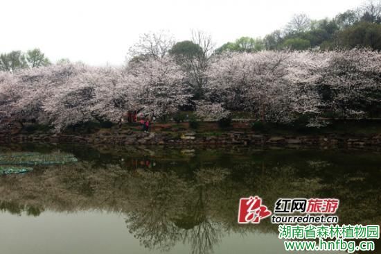 AG旗舰厅(中国游)官方网站