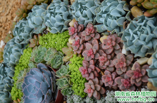 AG旗舰厅(中国游)官方网站