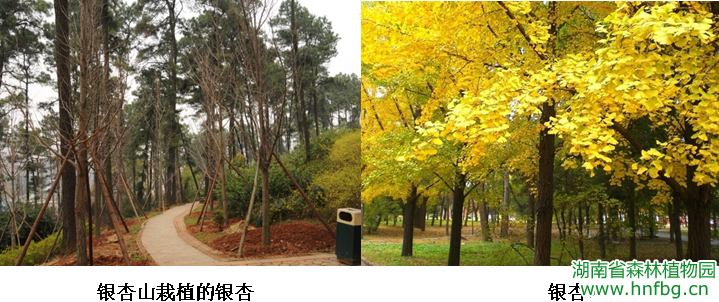 AG旗舰厅(中国游)官方网站