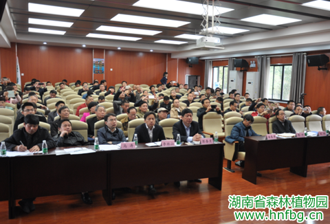 AG旗舰厅(中国游)官方网站