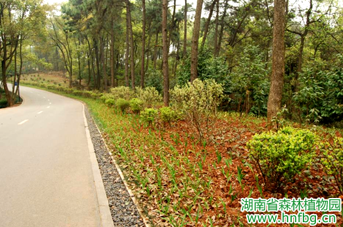 AG旗舰厅(中国游)官方网站