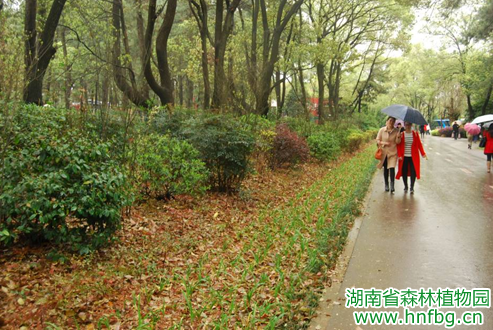 AG旗舰厅(中国游)官方网站