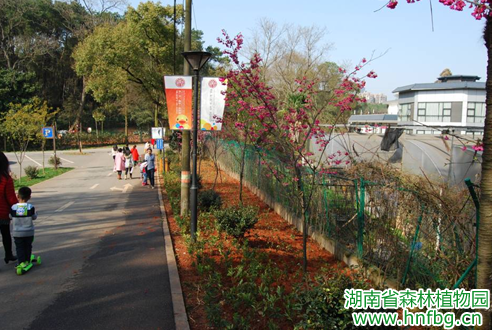 AG旗舰厅(中国游)官方网站