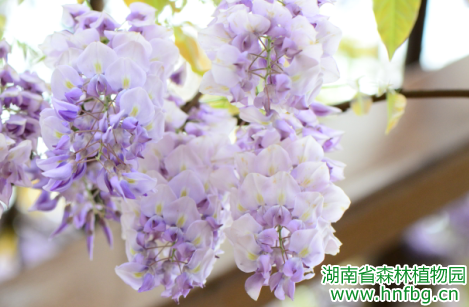 AG旗舰厅(中国游)官方网站