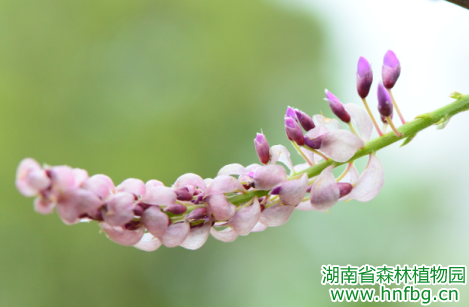 AG旗舰厅(中国游)官方网站