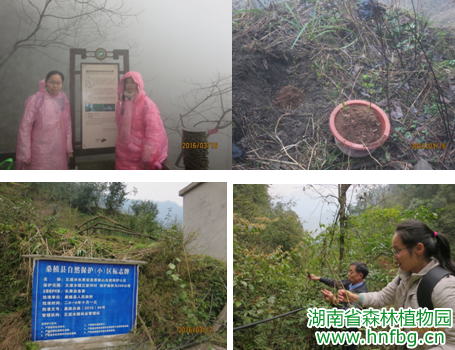 AG旗舰厅(中国游)官方网站