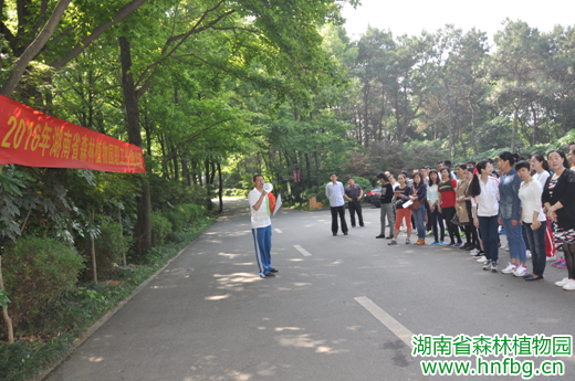 AG旗舰厅(中国游)官方网站