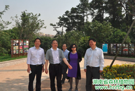 AG旗舰厅(中国游)官方网站