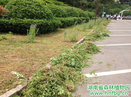 AG旗舰厅(中国游)官方网站