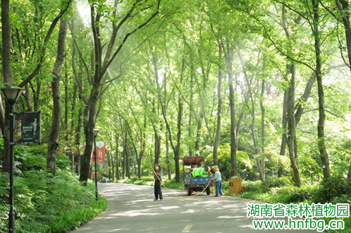 AG旗舰厅(中国游)官方网站