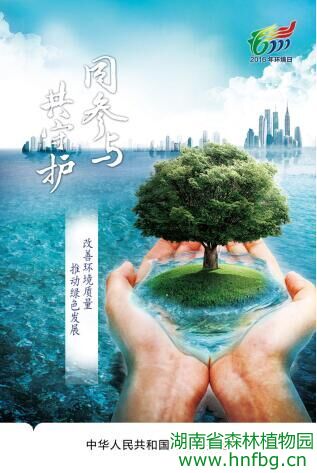 AG旗舰厅(中国游)官方网站