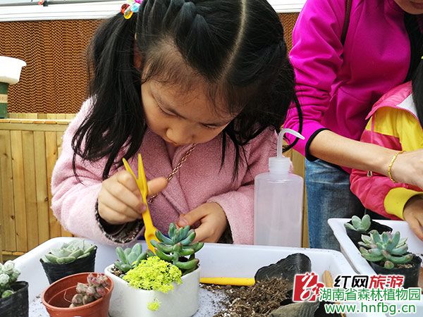 AG旗舰厅(中国游)官方网站