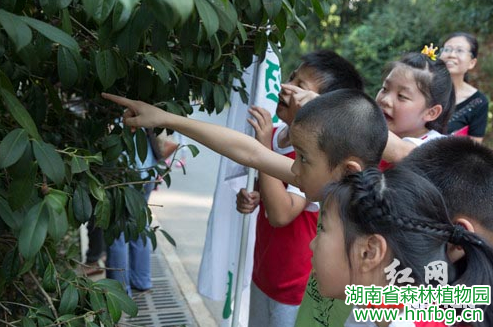 湖南省森林AG旗舰厅向导小学生家庭视察“盛夏的果实”