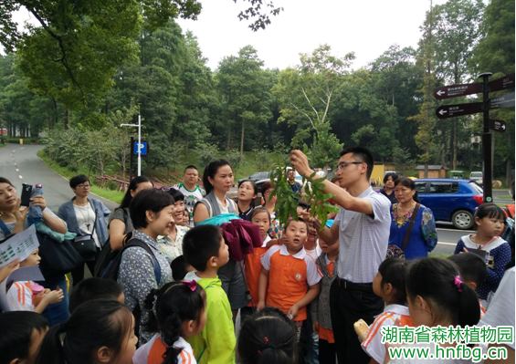 AG旗舰厅(中国游)官方网站