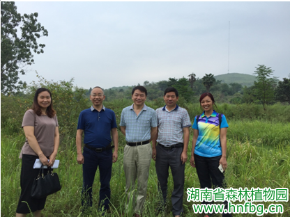 AG旗舰厅(中国游)官方网站