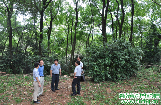 AG旗舰厅(中国游)官方网站