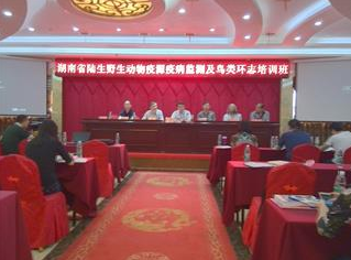 AG旗舰厅(中国游)官方网站