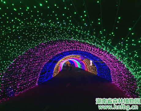 AG旗舰厅(中国游)官方网站
