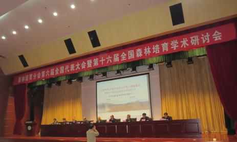 AG旗舰厅(中国游)官方网站