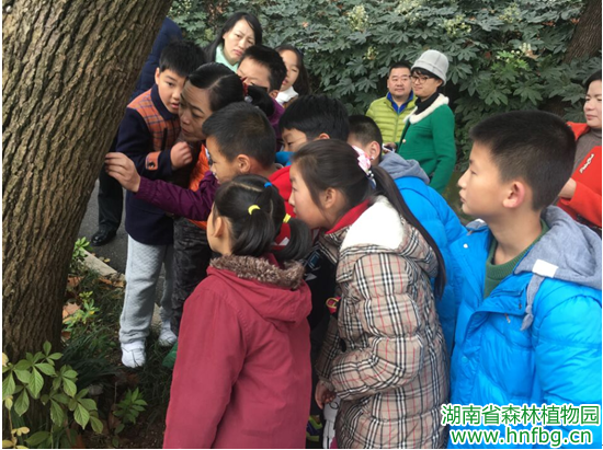 AG旗舰厅(中国游)官方网站