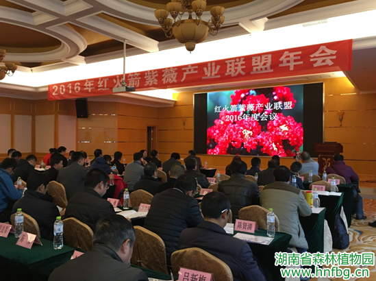 AG旗舰厅(中国游)官方网站