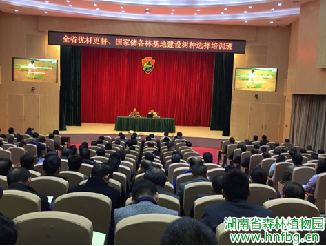 AG旗舰厅(中国游)官方网站