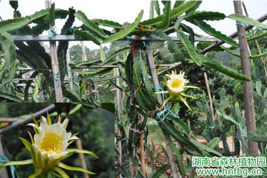 AG旗舰厅(中国游)官方网站
