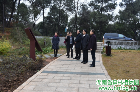 AG旗舰厅(中国游)官方网站