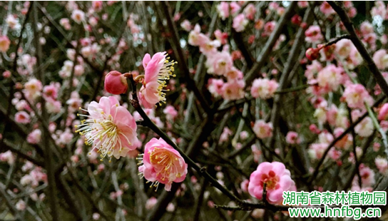 AG旗舰厅(中国游)官方网站
