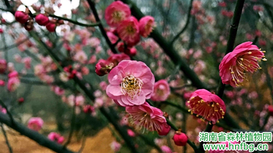 AG旗舰厅(中国游)官方网站