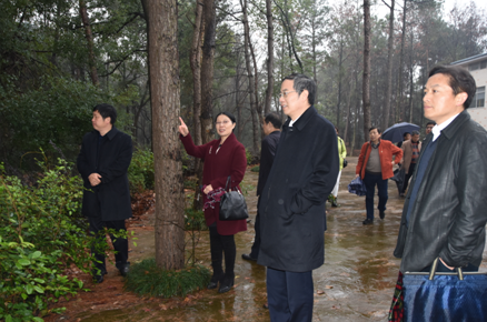 AG旗舰厅(中国游)官方网站